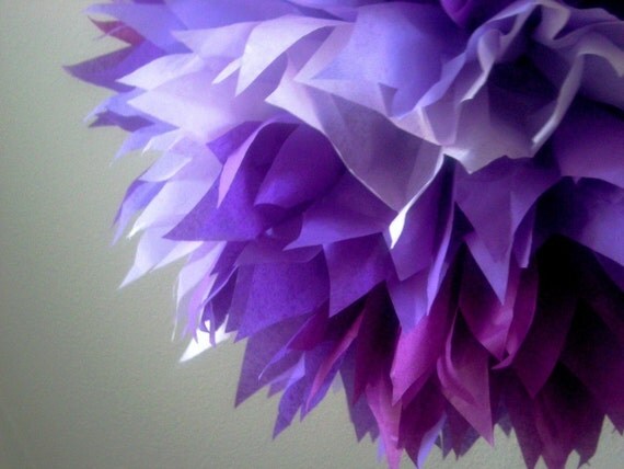Plum Dandy... 1 pomegran-it Il_570xn