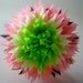 Watermelon ... 1 tissue paper pom // birthday // eco party decorations