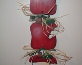 An Apple A Day Keeps The Doctor Away    Door or Wall Hanger
