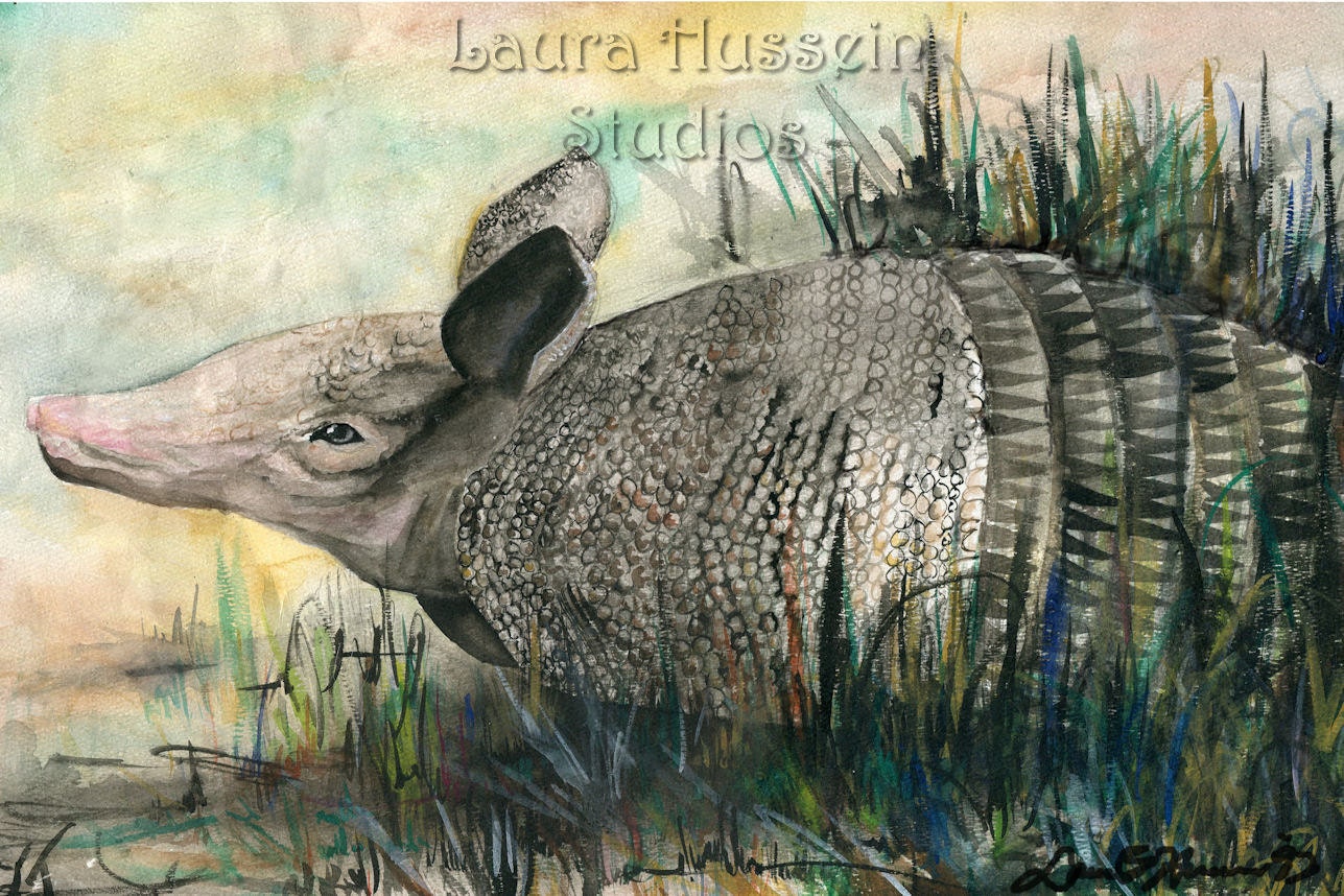 Chillin' Armadillo Print 101.2
