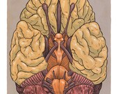 Brain Print