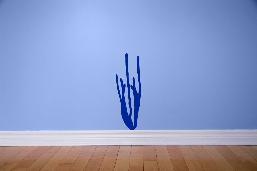 Coral - Vinyl Wall Graphic