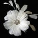 Fascinator, Wedding Hair Accessory, Ivory Feather Flower Fascinator, Head Piece, Feather Hairclip, Bridal Fascinator