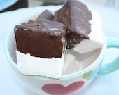 Gourmet JUMBO Chocolate Covered Vanilla Bean marshmallows - 6 pieces