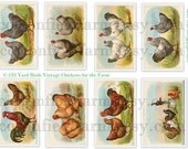 Yard Birds Vintage Chicken Images for the Farm Digital Collage C-133 for Scrapbooking, Tags