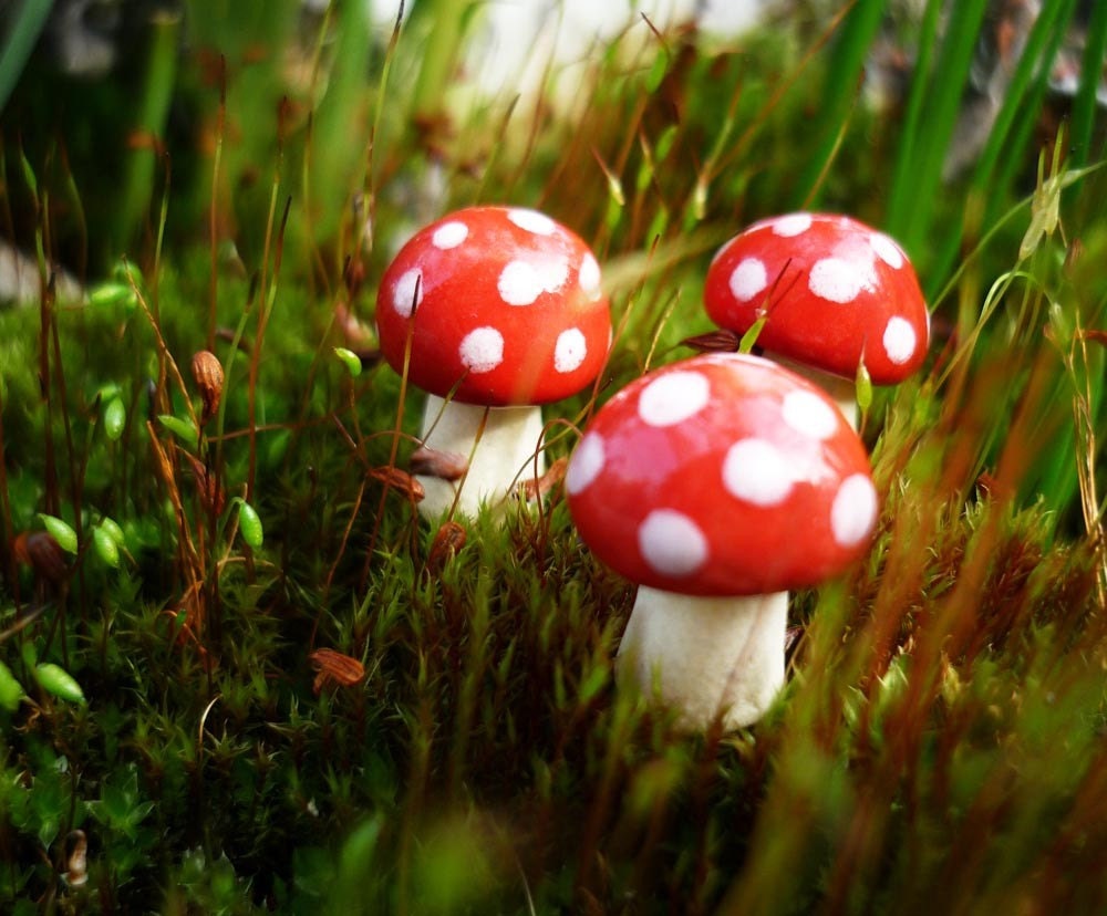 Three Mini Red and White Spotted Ceramic Mushrooms
