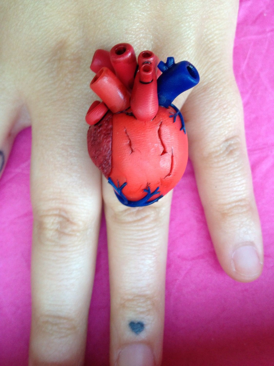 Heart Anatomy Ring