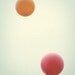 Balloons on the Up and Up - Three 8 x 10 Images