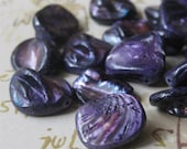 Purple shell beads - 23