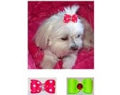 Top Knot Bow Tutorial PDF, Pet Hairbow--Step by Step How to Instructions--Free Shipping