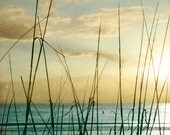 Beach Dreams V - Art Print 8x8