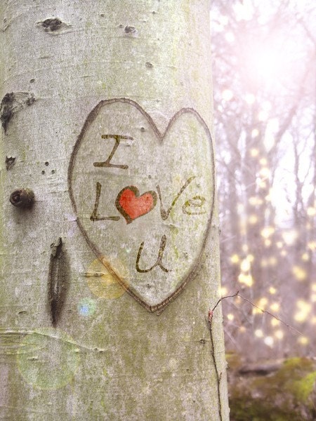 Personalized Gift  - 8x10 Print - Tree photography. A wonderful valentine, wedding, engagement or anniversary gift.