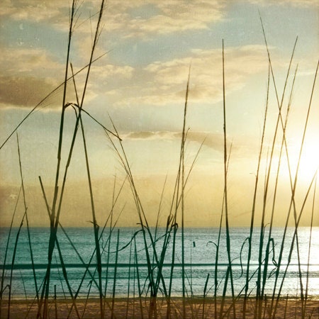 Beach Dreams V - Art Print 8x8