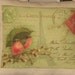 French Carte Postale Bird Pillow Decorative Throw Pillow Cover, Shabby Chic