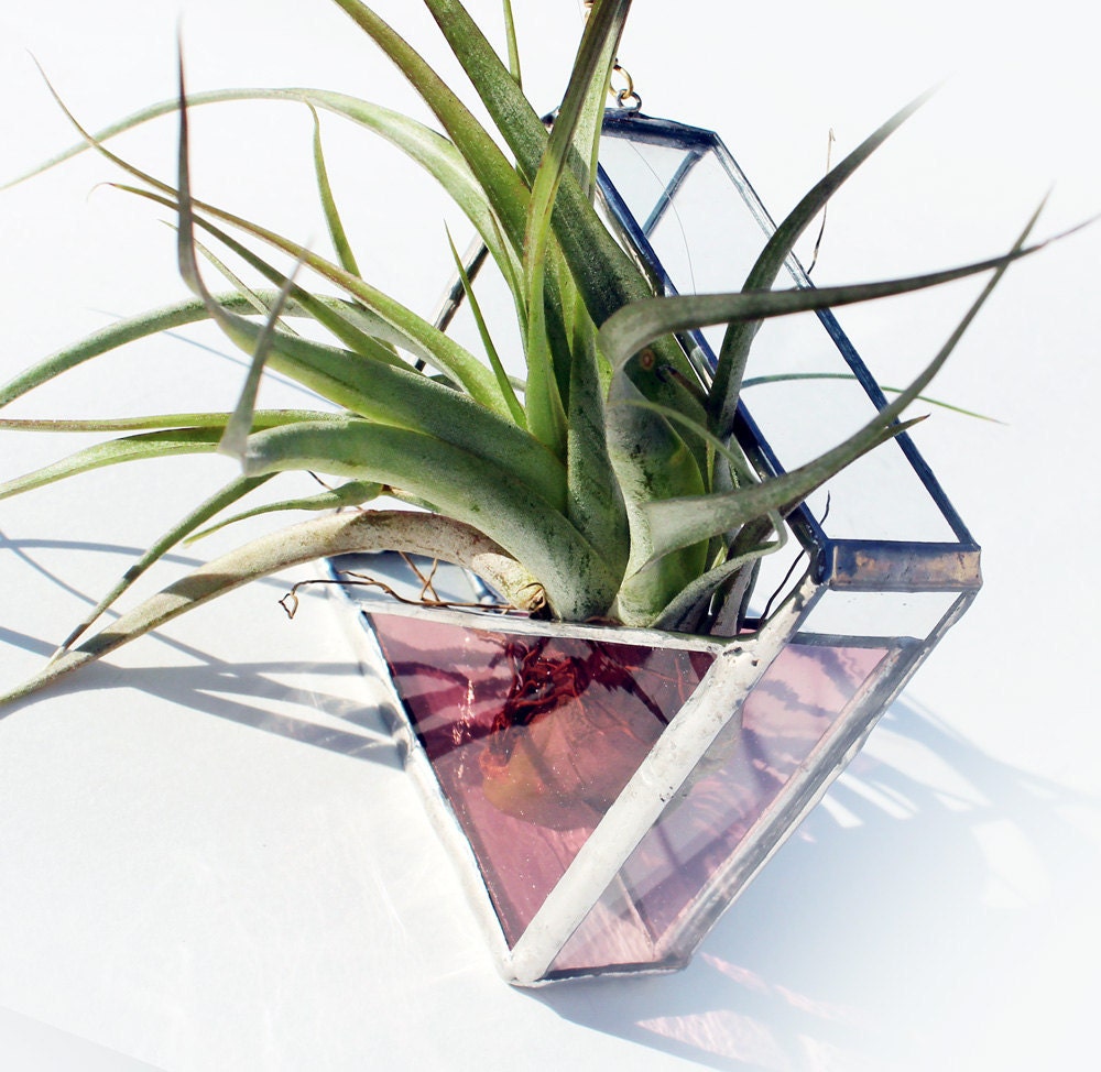 Stained Glass Air Plant Holder - Sconce - Small - Simple, Geometric, Modern - Choose your Color
