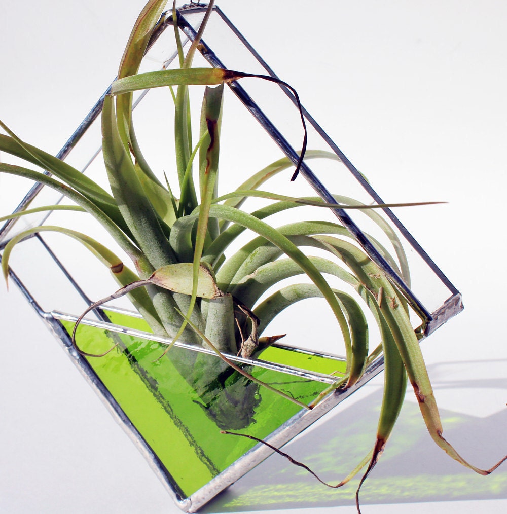 Stained Glass Air Plant Holder - Sconce - Large Size- Simple, Geometric, Modern - Choose your Color