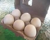 Food Soap - Half Dozen Egg Soap with Carton - Faux Food