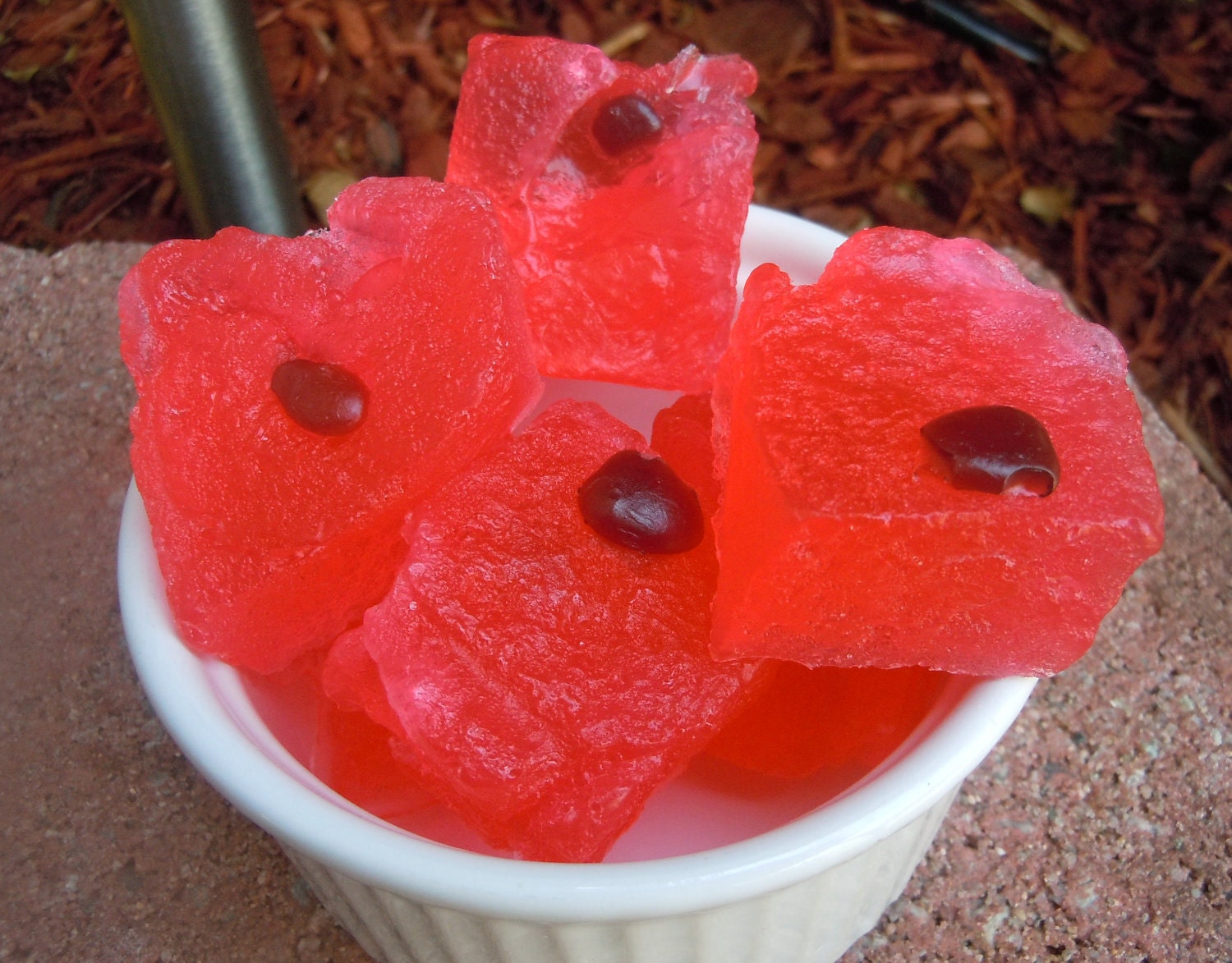 Summer Watermelon Soap