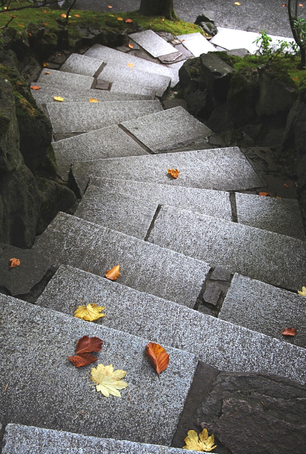 Steps Japanese Garden Fine Art  Digital Photographic Print 11x17 - sueolsonphoto