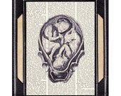 FETUS TWINS dictionary art print anatomy female reproductive organs pregnancy infant anatomy medical science fertility dictionary print 8x10