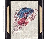 JELLYFISH art print on vintage dictionary book page art print dictionary print 8x10 blue red marine animal wall art decor jelly fish