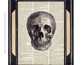 SKULL ANATOMICAL HUMAN skull illustration anatomy medical science natural science black white dictionary art print book page art print 8x10