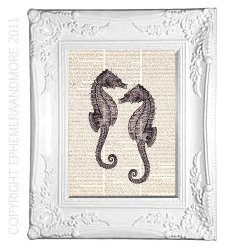 SEAHORSE COUPLE natural history marine sea nautical art on dictionary art print book page art print  black white love 8x10