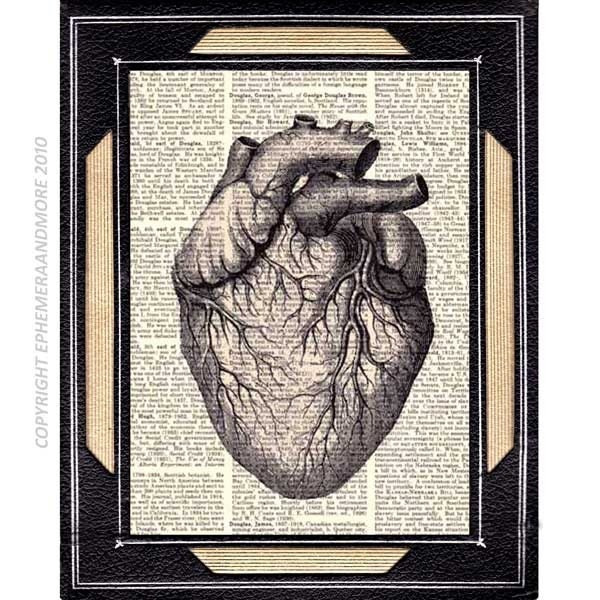 ANATOMICAL HEART art print on vintage dictionary book page dictionary print human anatomy wall decor black white 8x10