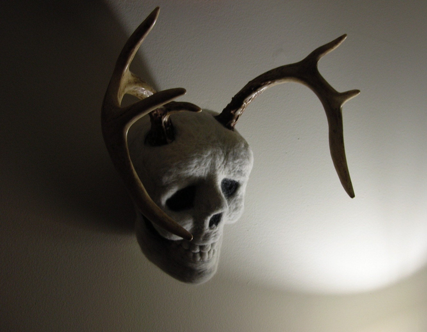 Items Similar To Human Skull With Deer Antlers On Etsy