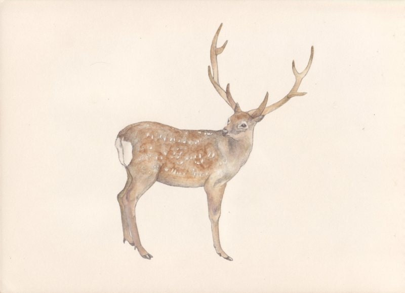 ezoshika - postcard