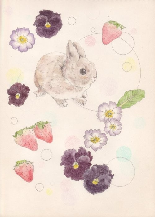 A little bunny - postcard