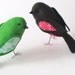 The Curious Robin PDF Pattern and Instructions --INSTANT DOWNLOAD--