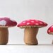 The Fat Sparrow & Terrific Toadstool PDF pattern set of 2