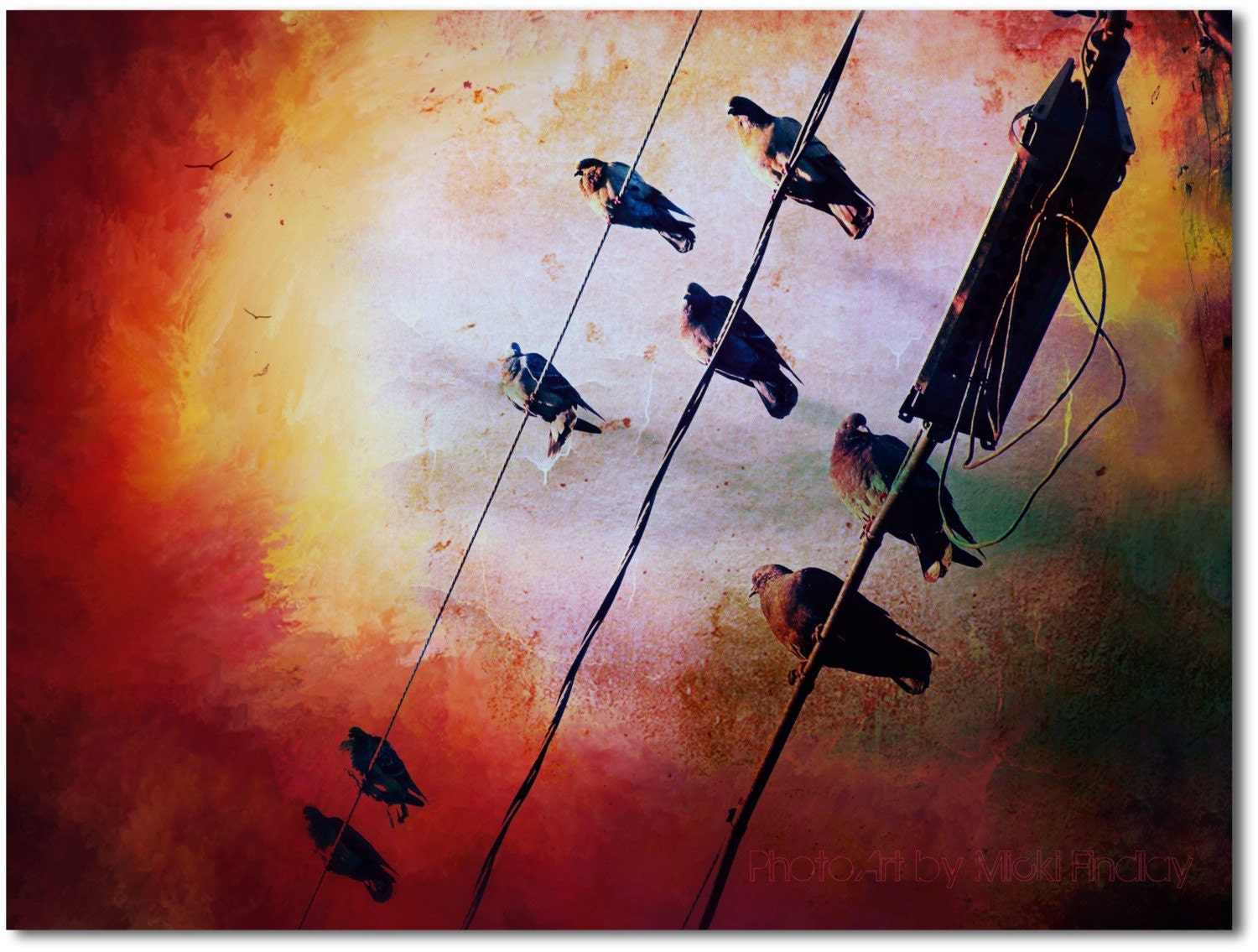 Birds On A Wire - 8x10 Fine Art Photo Print