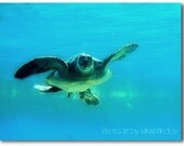 Green Submarine - 8x10 Fine Art Photo Print