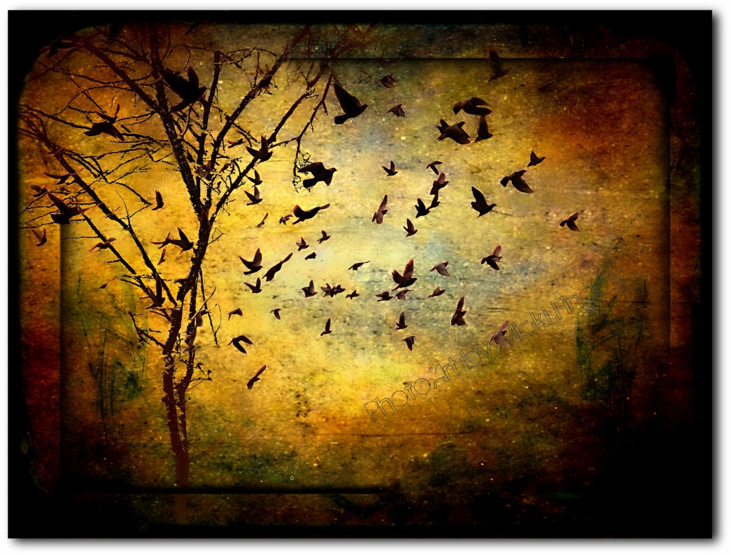 Musicisti Dell'aria - 8x10 Fine Art Photo Print