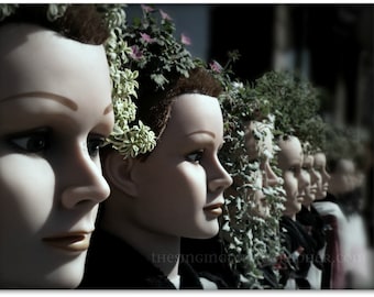 Transplants - 8x10 Fine Art Photo Print