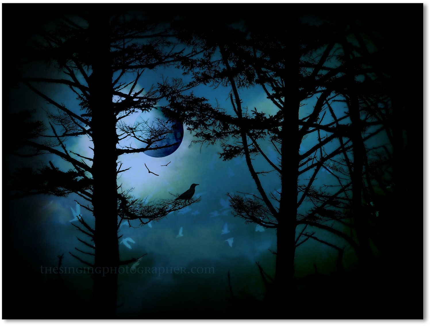 The Edge of Twilight - 8x10 Fine Art Photo Print