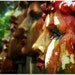 The Artist's Garden - 8x10 Fine Art Photo Print