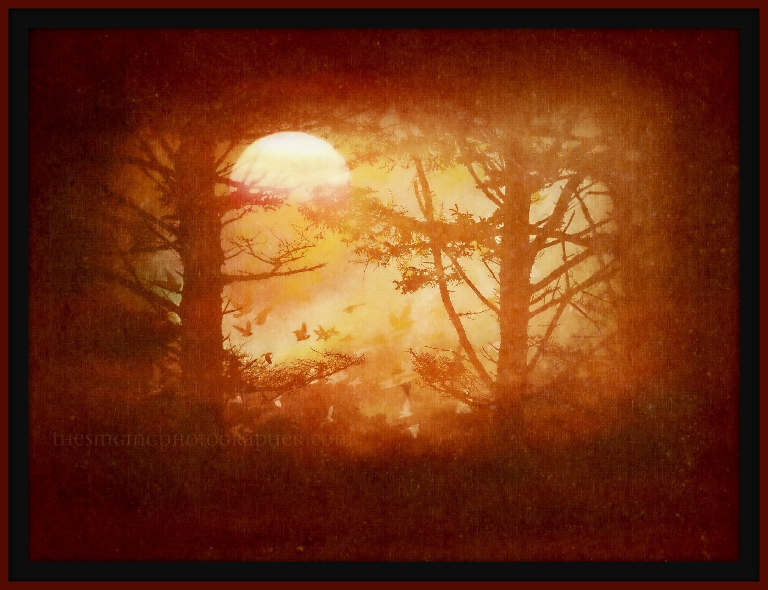 Harvest Moon - 8x10 Fine Art Photo Print