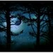 The Edge of Twilight - 8x10 Fine Art Photo Print