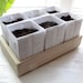 Heirloom Seed Kit in Wooden Box