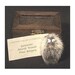 PET PINE BOOGEY low maintenance taxidermy companion / humorous novelty squirrel gift