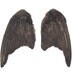 BLACK PIGEON WINGS real bird parts for taxidermy crafts, feather jewelry, mask, fan, hat, and costume making