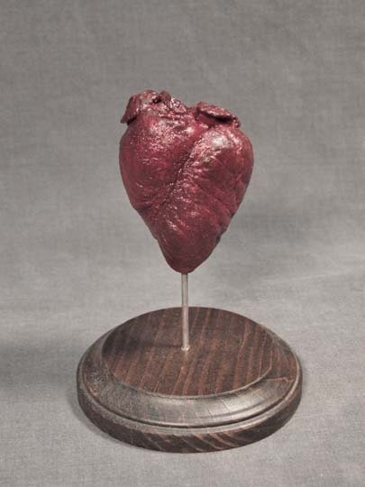 PRESERVED FAWN HEART real animal part specimen for natural history display or Victorian cabinet of curiosities