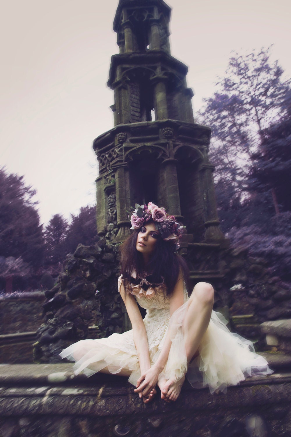 Magnolia dreams