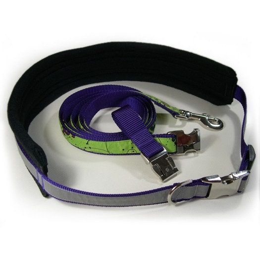 Items similar to Deluxe Padded Hands Free Dog Walking Belt and Leash on