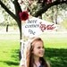 Custom order for Whitney / HERE COMES the BRIDE Pennant Custom Sign Wedding Pennant