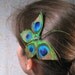 Peacock hair accessory, feather head piece, fascinator