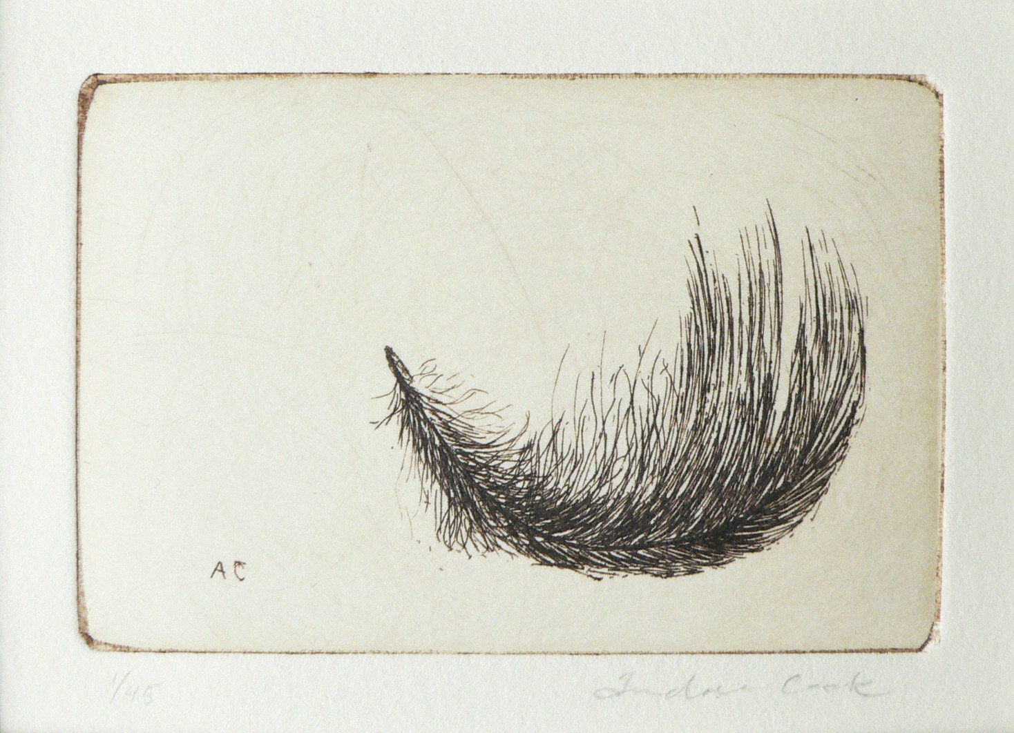 original etching of a feather - atelier28